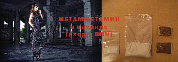 шишки Щигры