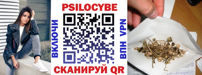 MEGA ТОР  Находка  Галлюциногенные грибы Psilocybe 
